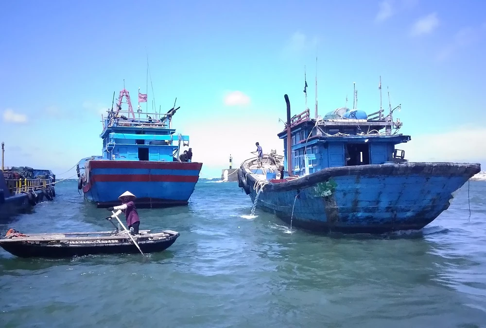 Tìm kiếm Casa 212: Bạch Long Vĩ huy động lực lượng tối đa ảnh 8