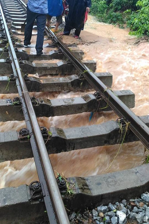 Chùm ảnh: Lụt ngập nóc nhà ở Quảng Bình ảnh 7