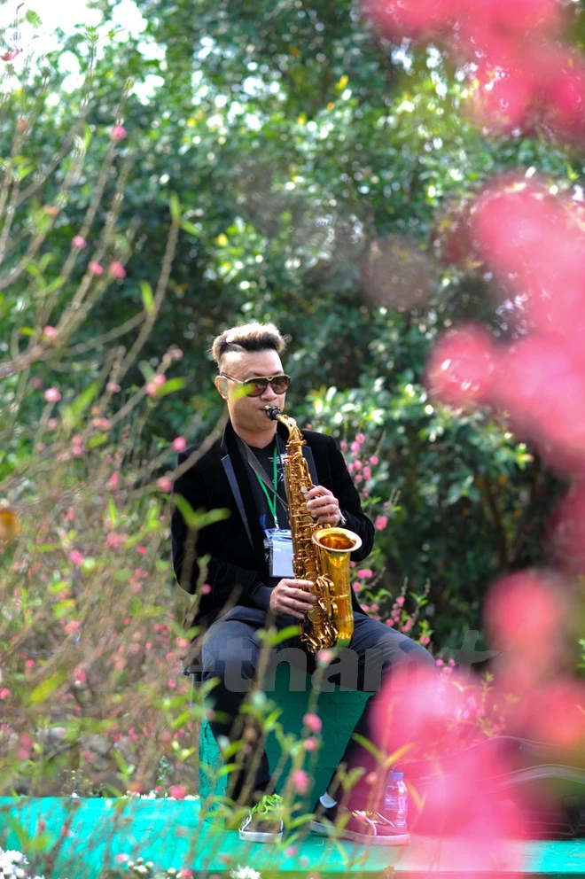 Thích thú với lễ hội hoa xuân lớn nhất miền Bắc ảnh 9