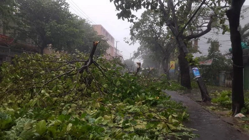 Bão 12 làm 37 người chết, mất tích, hỏng gần 24.000 nhà - ảnh 20