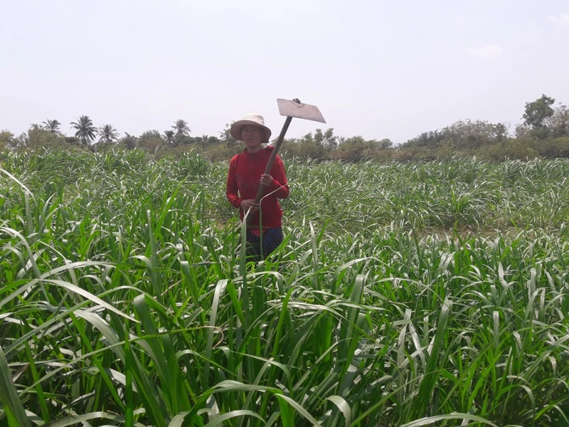 Giấc mơ bên động Bầu Lầu ảnh 1