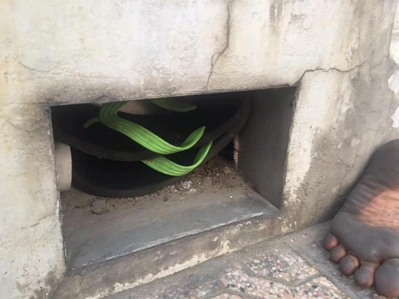 MC Trương Việt Phong gây xúc động với trẻ bụi đời ảnh 3