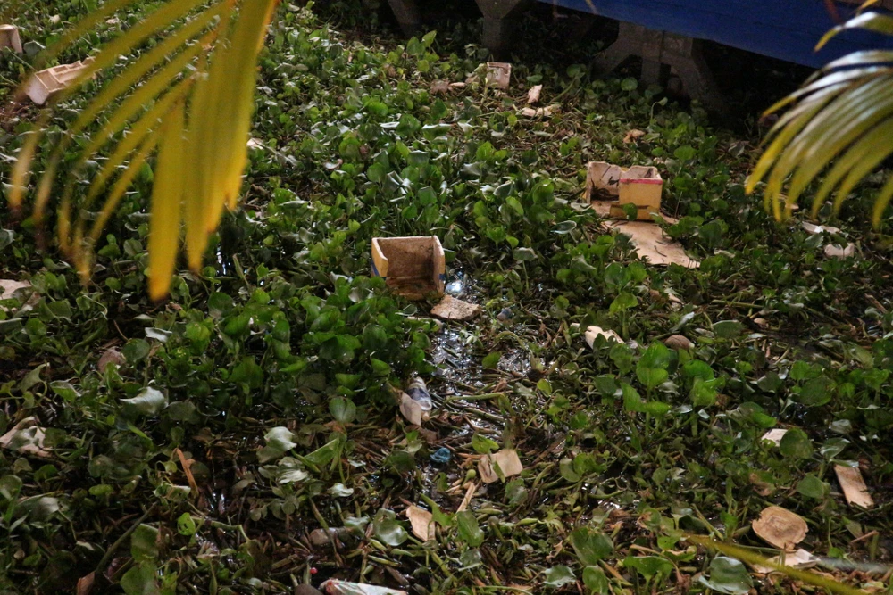 Bên cạnh lục bình, nhiều loại rác sinh hoạt đọng lại lâu ngày gây hôi thối, mất mỹ quan đô thị. Ảnh: MINH THANH Bên cạnh lục bình, nhiều loại rác sinh hoạt đọng lại lâu ngày gây hôi thối, mất mỹ quan đô thị. Ảnh: MINH THANH