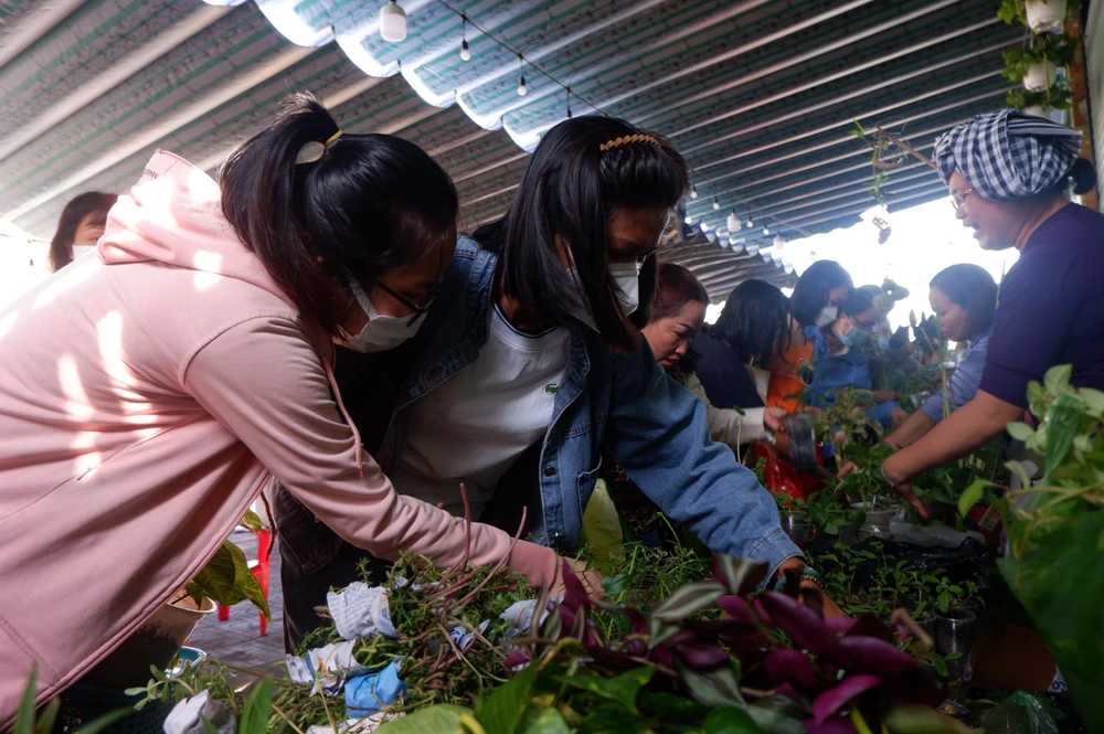 Ai thích cây gì thì được tặng cây đó