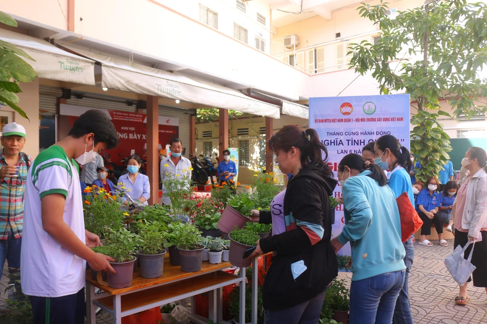 Hơn 100 cây rau các loại như diếp cá, huế, ngò gai,…được Hội Môi trường xây dựng Việt Nam quyên góp, ủng hộ để trao tặng đến bà con.Ảnh: NGỌC TRĂM