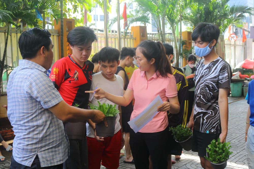 Các loại cây này do Hội Môi trường xây dựng Việt Nam tặng Các loại cây này do Hội Môi trường xây dựng Việt Nam tặng