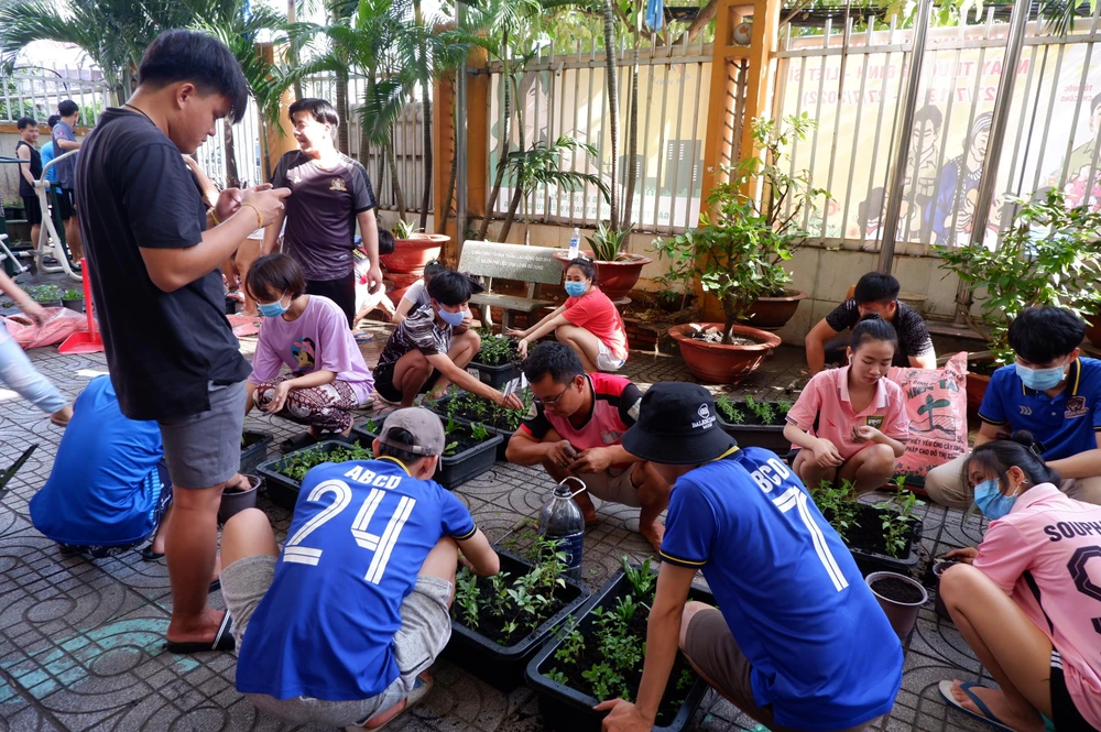 Các sinh viên Lào hào hứng trồng cây xanh, rau ở hành lang ký túc xá Các sinh viên Lào hào hứng trồng cây xanh, rau ở hành lang ký túc xá