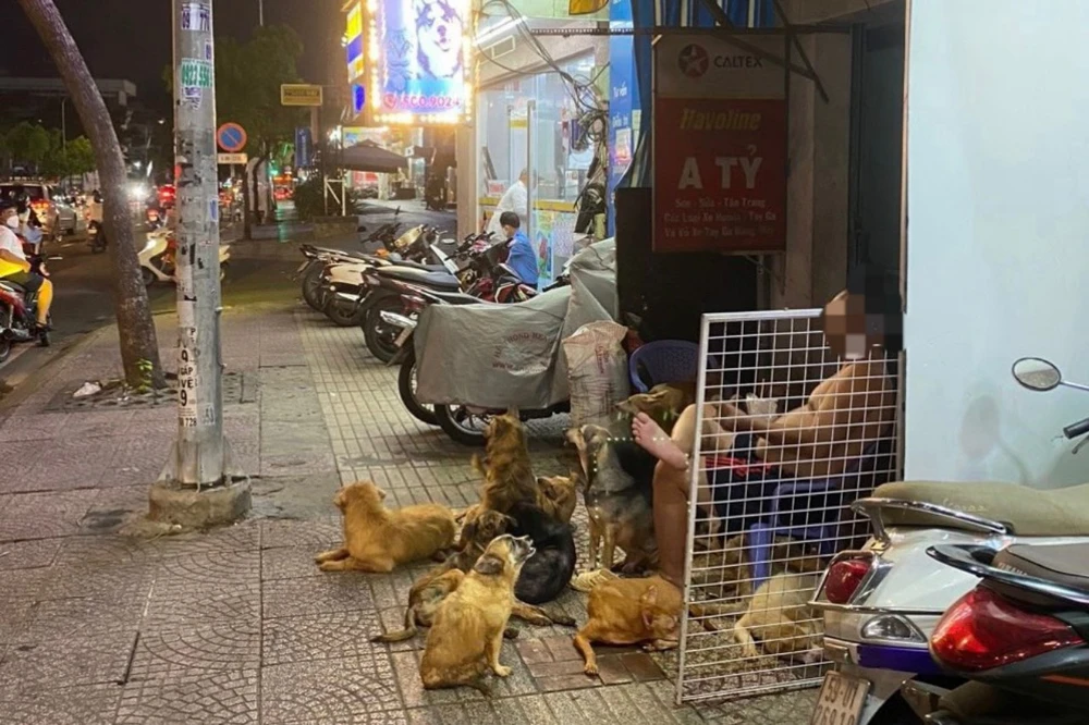Vì thương động vật, một gia đình nhỏ (ở quận 4, TP.HCM) nuôi đến 82 con chó gây ảnh hưởng đến hàng xóm. Ảnh: HUỲNH THƠ Vì thương động vật, một gia đình nhỏ (ở quận 4, TP.HCM) nuôi đến 82 con chó gây ảnh hưởng đến hàng xóm. Ảnh: HUỲNH THƠ