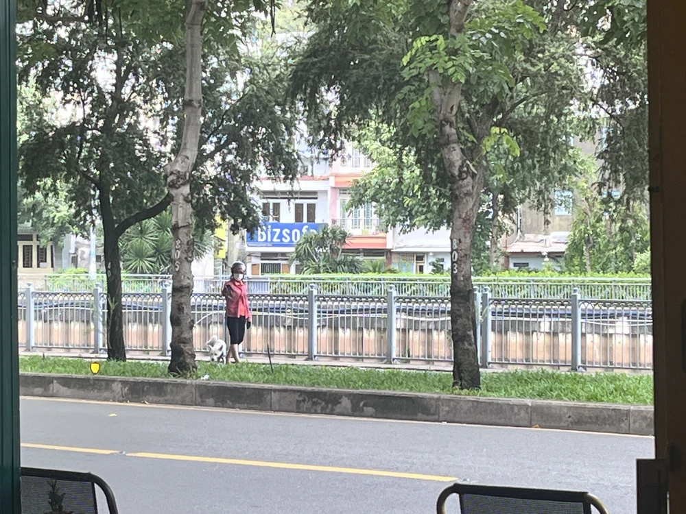 Nhiều người dắt chó ra khu vực bờ kè dọc kênh Nhiêu Lộc nhưng không rọ mõm. Ảnh: KHÁNH TOÀN