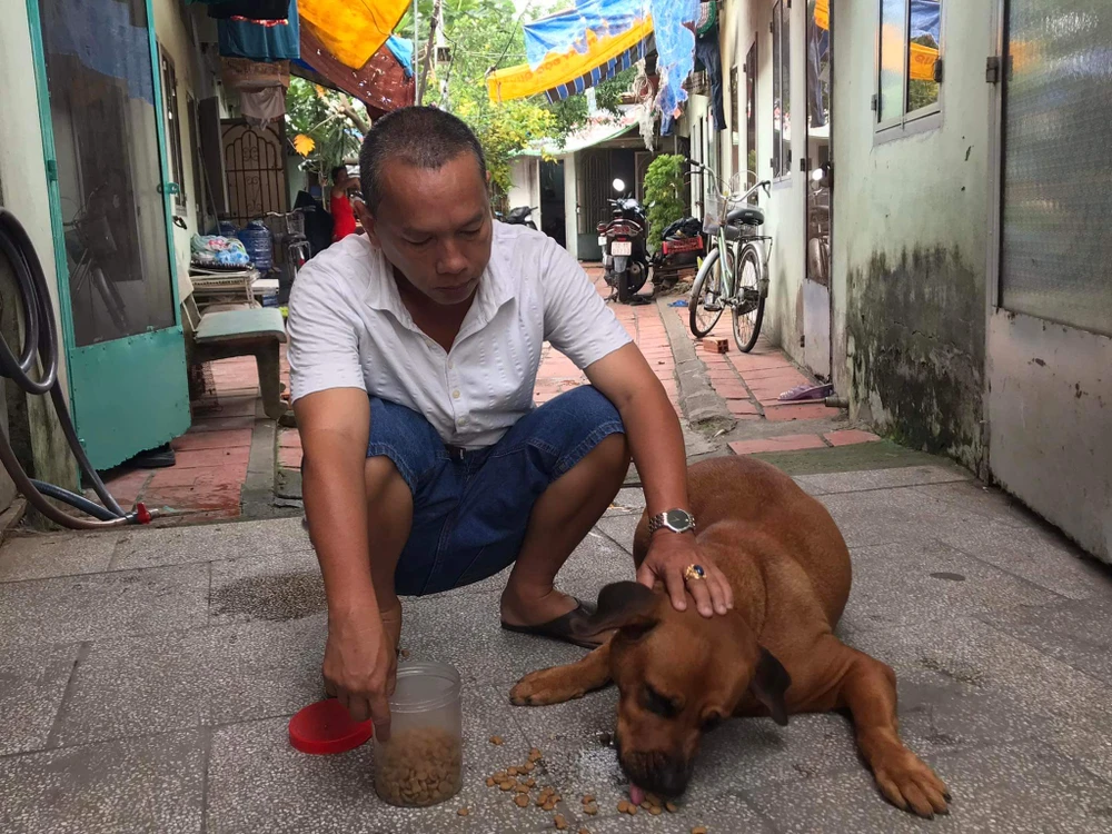 "Chó chỉ thân thiết, gần gũi với chủ, còn người ngoài thì cực kỳ hung dữ nhất là những dòng chó lớn”, ông Dương Công Trọng (một người nuôi chó) cho biết. Ảnh: KHÁNH TOÀN