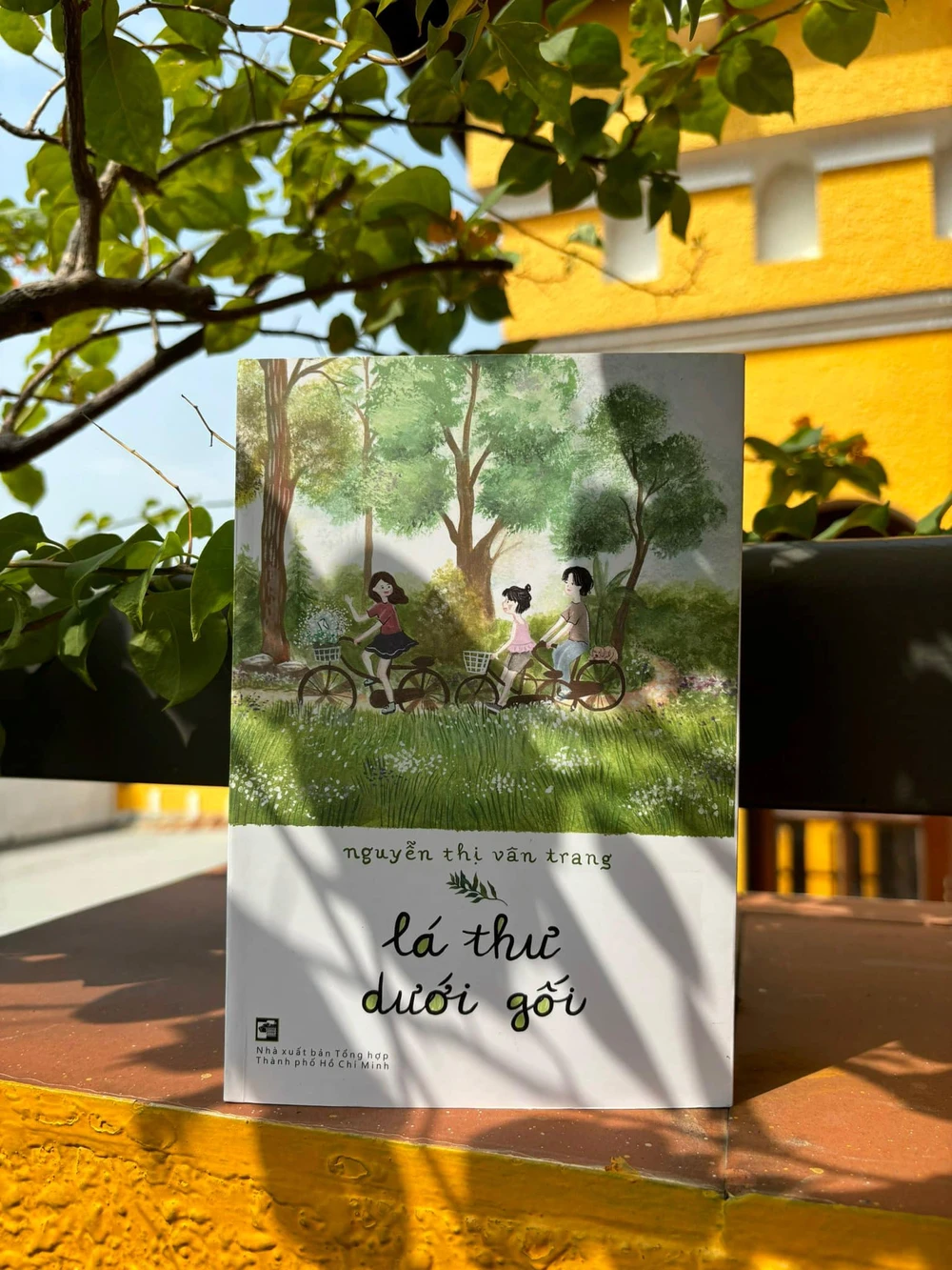 lá thư dưới gối