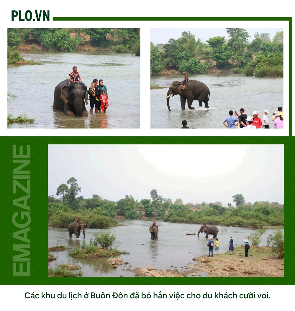 ẢNH GHÉP 10 - Các khu du lịch ở Buôn Đôn đã bỏ hẳn việc cho du khách cưỡi voi (3).png