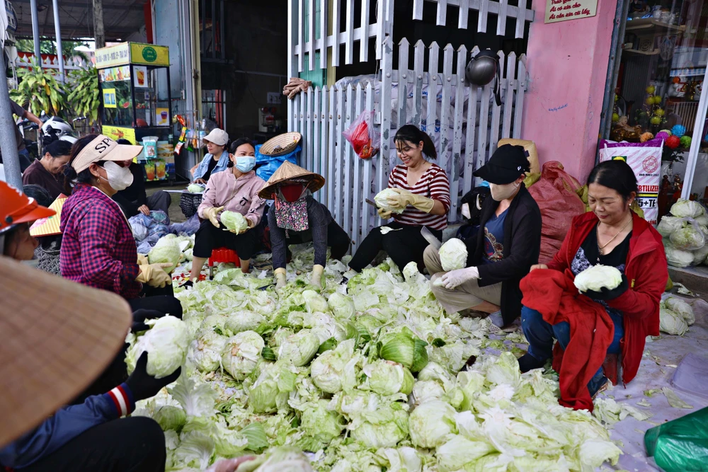 Người dân Lâm Đồng sớ chế rau củ, đóng gói để ngày 5-11 các chuyến xe từ Lâm Đồng di chuyển về miền Trung.jpeg