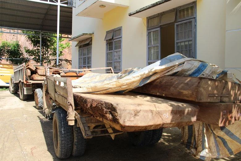 Hai chiếc máy cày vận chuyển hơn 3 m3 gỗ sao bị bắt giữ. Ảnh: CA