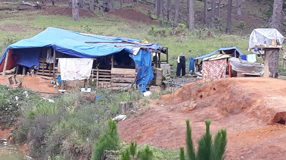 Lán trại được nhóm "thiếc tặc" dựng ngay trong rừng phòng hộ đầu nguồn. Ảnh: VT