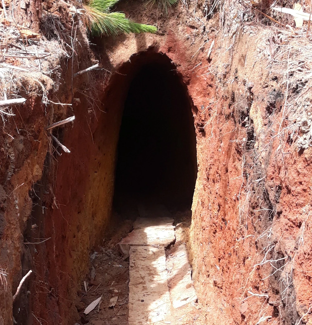 Hầm thiếc tặc chưa kịp khai thác bị cơ quan chức năng phát hiện. Ảnh: VT