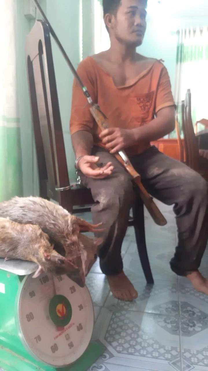 K'Phương bị bắt giữ cùng 1 khẩu súng và 3 cá thể cheo cheo. Ảnh: KL K'Phương bị bắt giữ cùng 1 khẩu súng và 3 cá thể cheo cheo. Ảnh: KL