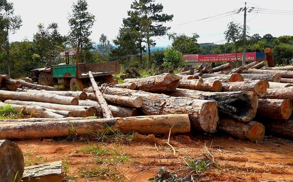 Tang vật vụ án khiến 7 cán bộ bị khởi tố ẢNh CA