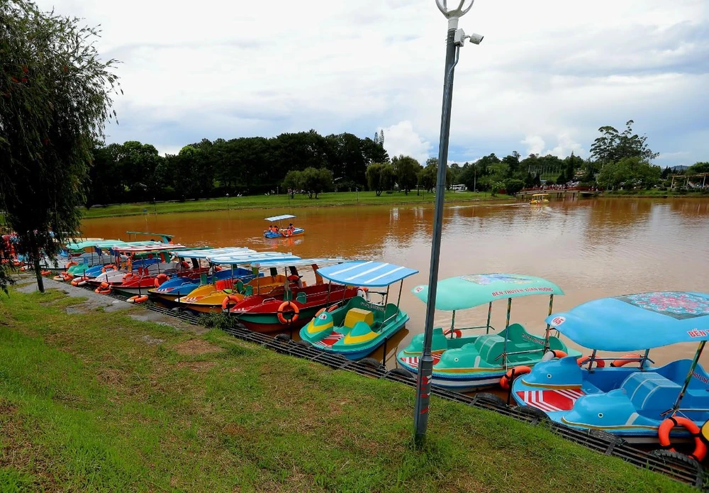 Đây là những chiếc thuyền máy, không phải đạp vịt Pedalo. Ảnh: VÕ TÙNG
