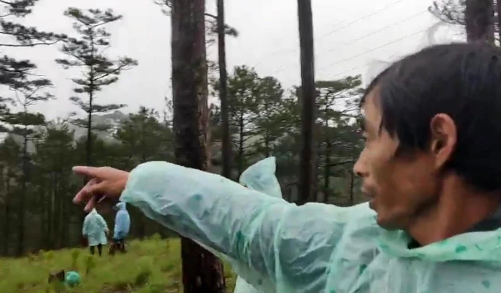 Ông Dương Kim Hà tại hiện trường vụ phá rừng Ảnh CT