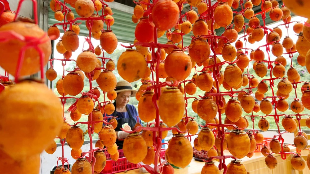 Hồng treo gió chế biến theo công nghệ tiên tiến từ Nhật Bản. Ảnh: VÕ TÙNG