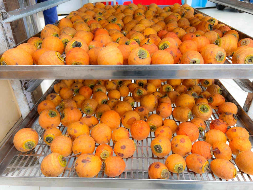 Hồng cần phải trải qua cả công đoạn tiệt trùng. Ảnh: VÕ TÙNG