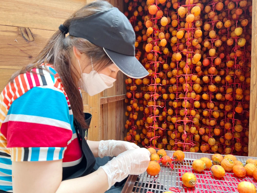 Cở sở làm hồng treo gió ở số 45 Khe Sanh, phường 10, TP Đà Lạt của bà Đặng Thị Thu Vân đang có khoảng 10 công nhân tất bật vào vụ. Ảnh: VÕ TÙNG