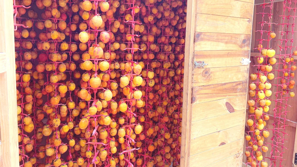 Hồng treo Đà Lạt hay còn gọi là hồng treo gió, hồng sấy gió Đà Lạt. Ảnh: VÕ TÙNG