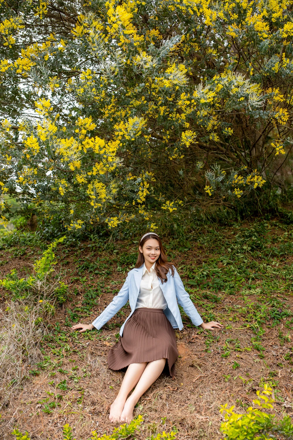 Ở Đà Lạt, mimosa mọc nhiều nhất ở Thung lũng Tình yêu, xung quanh hồ Tuyền Lâm và nhiều nhất là ở tuyến đèo Mimosa.