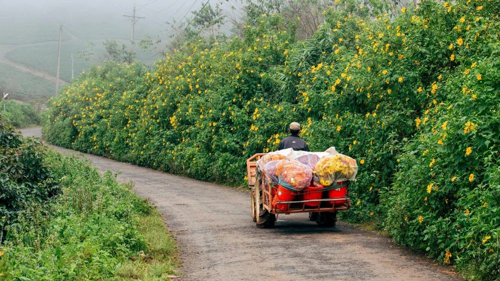 Một ngày nọ, K’Lang vào rừng săn bắn nhưng đến tối khuya vẫn không trở về. H’ linh chờ mãi, chờ mãi nhưng K’lang vẫn bặt vô âm tín. Biết K’lang có chuyện nên H’Linh đã vào rừng tìm K’Lang. Ảnh: PY TRẦN