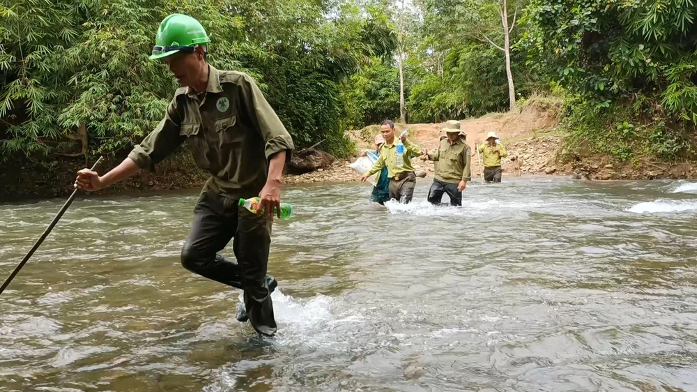 Ngành Kiểm lâm tỉnh Lâm Đồng đang nỗ lực vận động người dân giao nộp động vật hoang dã đang nuôi nhốt. Ảnh: VÕ TÙNG