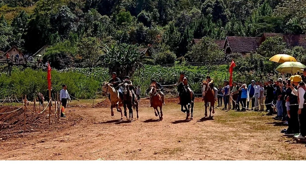Giải đua ngựa không yên mang dấu ấn cao nguyên Langbiang. Ảnh: VÕ TÙNG
