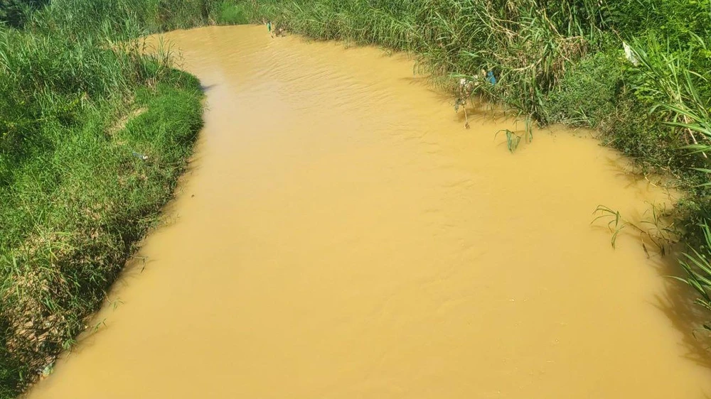 Suối Đại Lào đục ngầu, ảnh hưởng đến sinh hoạt, tưới tiêu của người dân. Ảnh VT