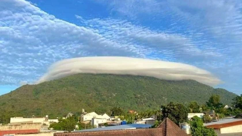 Ngọn núi này có nhiều loại cây, thú rừng. Bên cạnh đó, núi Chứa Chan còn là một địa danh có nhiều chứng tích lịch sử, là một trong những điểm tham quan của du khách gần xa. Ngọn núi này có nhiều loại cây, thú rừng. Bên cạnh đó, núi Chứa Chan còn là một địa danh có nhiều chứng tích lịch sử, là một trong những điểm tham quan của du khách gần xa.