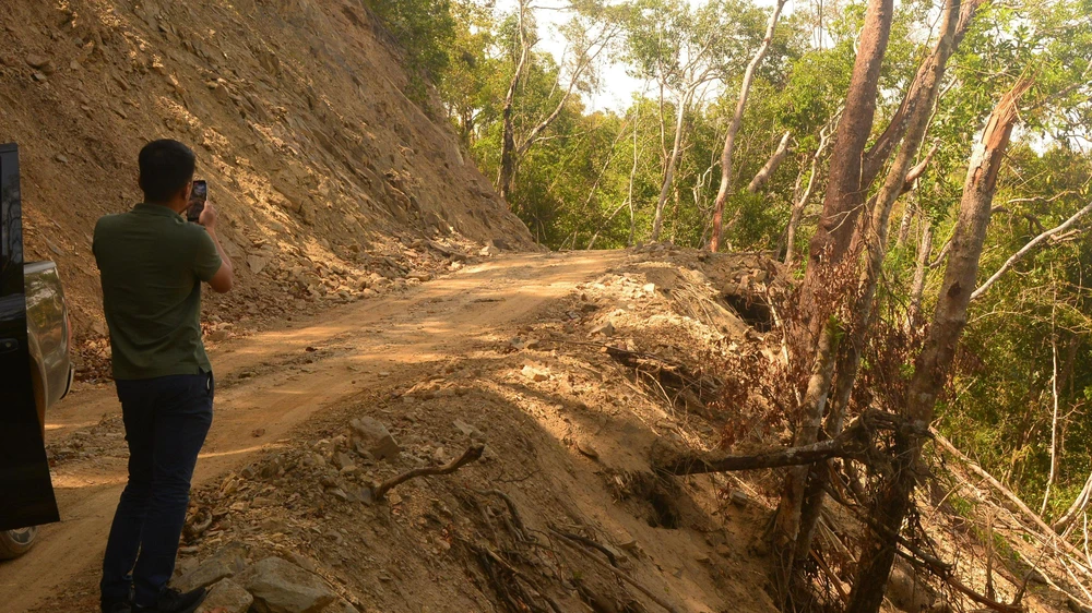 Hơn 7,6ha rừng tự nhiên tại Vườn Quốc gia Bidoup Núi Bà được đề nghị chuyển đổi phục vụ làm đường Trường Sơn Đông. Ảnh: VT