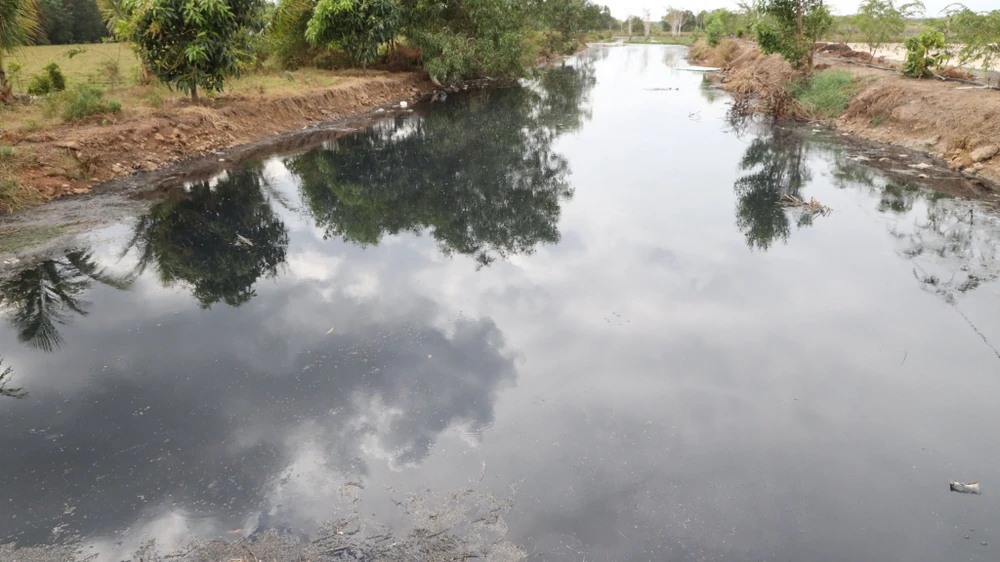 Nguồn nước bị ô nhiễm. Ảnh: VÕ TÙNG