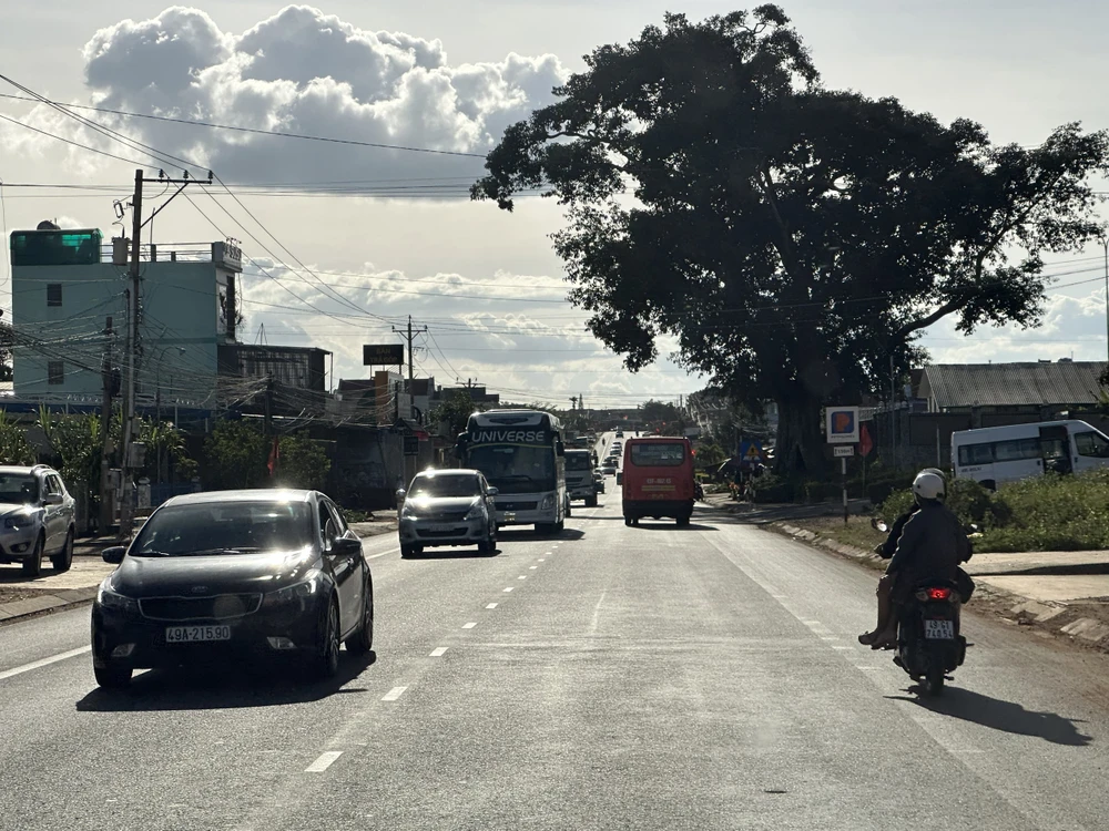 Ngày mồng 2 tết, thời tiết Lâm Đồng khá đẹp. Nắng vàng trải dài từ huyện Đạ Huoai lên đến TP Đà Lạt. Ảnh: VT