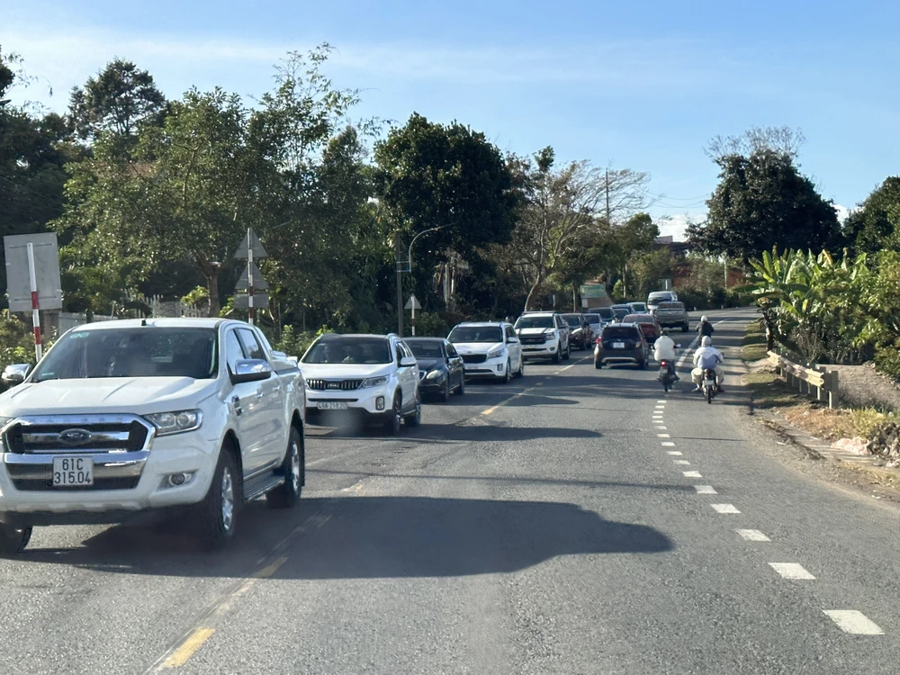 Du khách từ các tỉnh miền Đông Nam Bộ chọn TP Đà Lạt làm điểm du xuân. Ảnh: VT