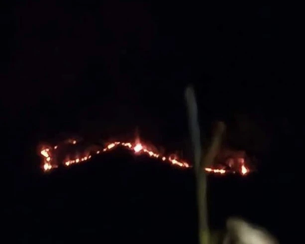 Núi Đại Bình đang cháy dữ dội