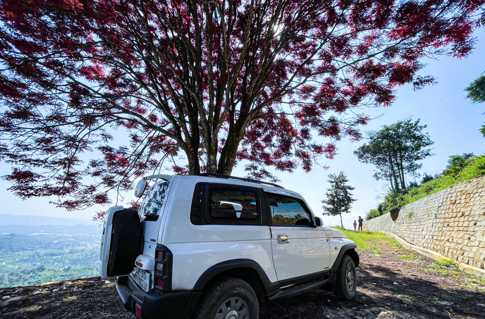 Dù đường vào nơi có cây lá đỏ khá khó khăn, nhưng nhiều bạn trẻ vẫn tìm đến để có những tấm ảnh đẹp