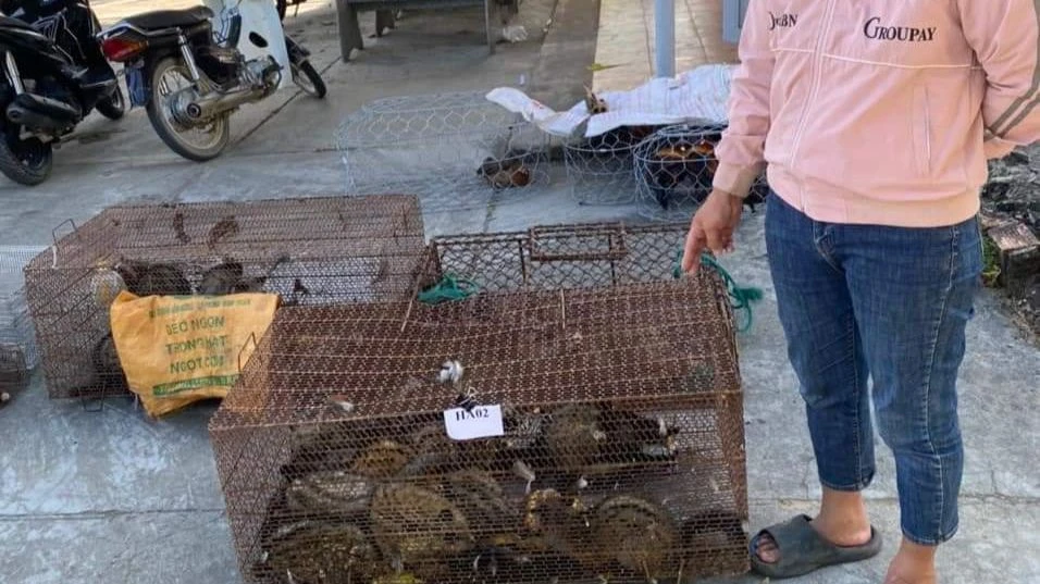 Cơ quan chức năng phát hiện nhiều động vật hoang dã khi kiểm tra nhà Hoài ở huyện Đam Rông.