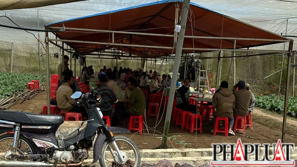 Người dân ở Thạnh Mỹ bàng hoàng trước vụ án mạng. Ảnh: VÕ TÙNG