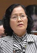 Vì sao không nên tách đôi Luật Giao thông đường bộ? ảnh 1