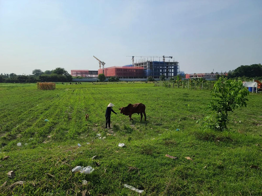 Khu đất trống đang được huyện Củ Chi kêu gọi đầu tư dự án sắp tới. Ảnh: KIÊN CƯỜNG Khu đất trống đang được huyện Củ Chi kêu gọi đầu tư dự án sắp tới. Ảnh: KIÊN CƯỜNG