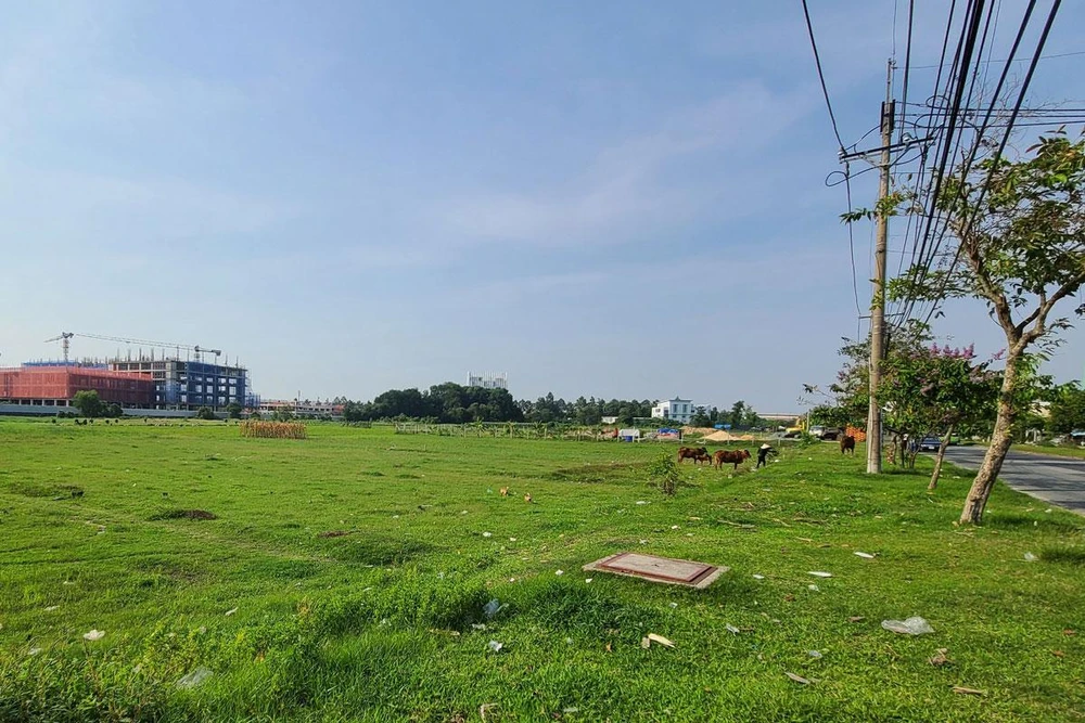 Một khu đất đang kêu gọi đầu tư ở huyện Củ Chi. Ảnh: KIÊN CƯỜNG