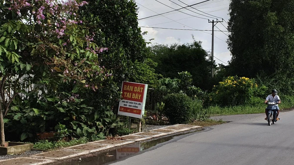 Đất ở các huyện vùng ven TP.HCM đang được các cò rao bán rầm rộ. Ảnh: HV