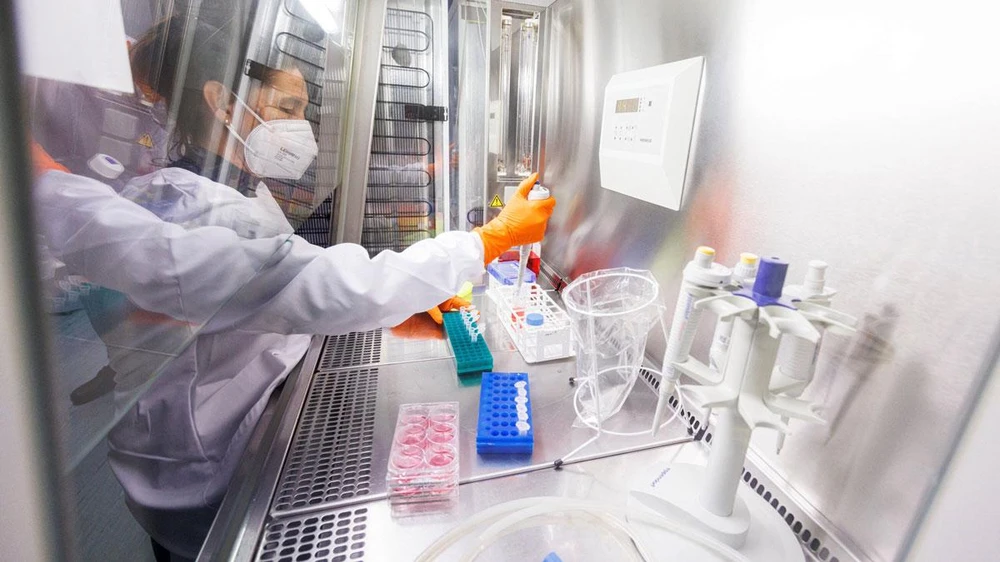 Một chuyên gia y tế kiểm tra các mẫu bệnh phẩm nghi chứa virus gây bệnh đậu mùa khỉ ở TP Munich, Đức hôm 24-5. Ảnh: REUTERS