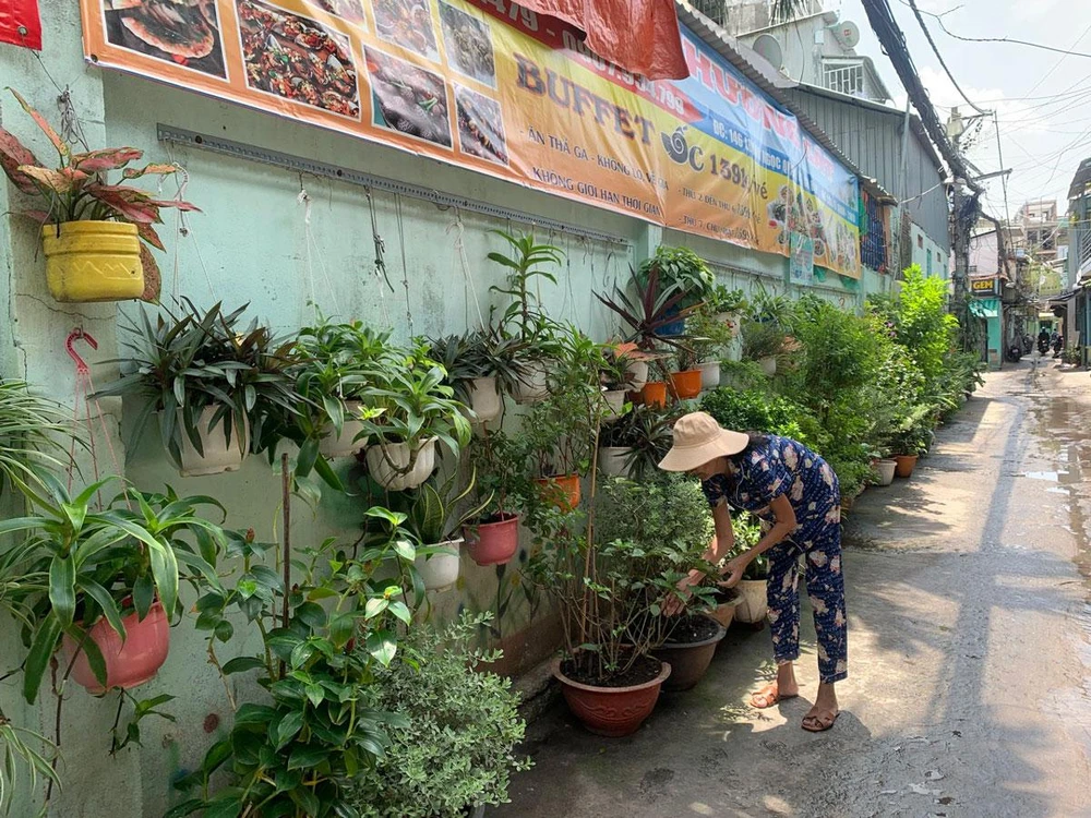 Bức tường dài hơn 30 m phủ đầy cây xanh tại quận Gò Vấp, TP.HCM. Ảnh: NGỌC TRĂM