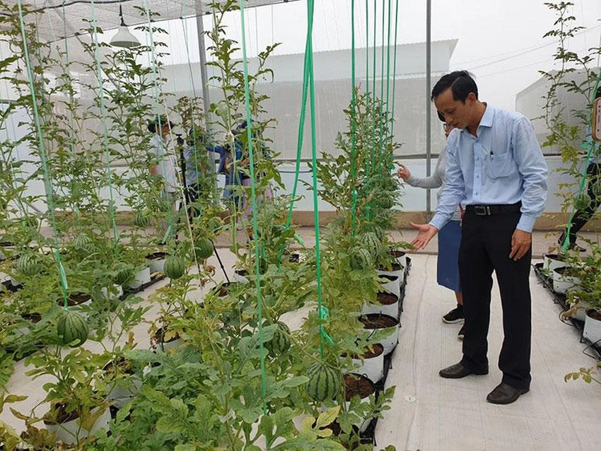 Một góc khu vườn sinh thái (bãi rác Đông Thạnh cũ) ở huyện Hóc Môn, TP.HCM. Ảnh: N.CHÂU Một góc khu vườn sinh thái (bãi rác Đông Thạnh cũ) ở huyện Hóc Môn, TP.HCM. Ảnh: N.CHÂU