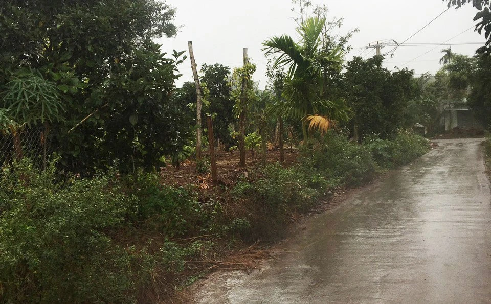 Khu vực đất được cấp giấy chứng nhận của gia đình bà Liệu. Ảnh: VŨ LONG